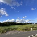IMG_2497